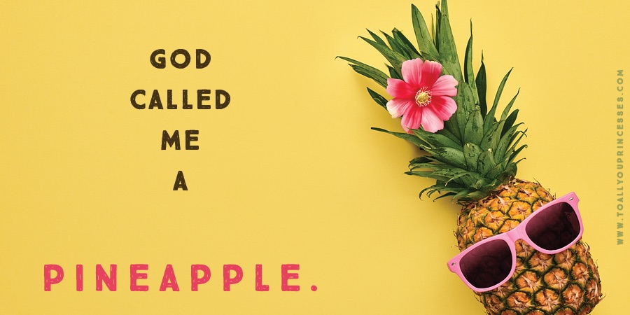 God Called Me A Pineapple. - To All You Princesses (www.toallyouprincesses.com)