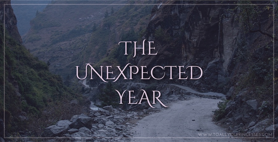 The Unexpected Year - To All You Princesses (www.toallyouprincesses.com)